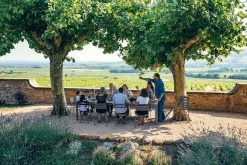 Ribambelle Extending Table - / L 149 To 234 Cm - 6 To 10 People - Fermob 7 Ribambelle Extending Table - / L 149 To 234 Cm - 6 To 10 People - Fermob -Coffee Tables Sales Shop extending table ribambelle black cherry madeindesign 386010 product800